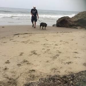 Meet your Posher, Ken